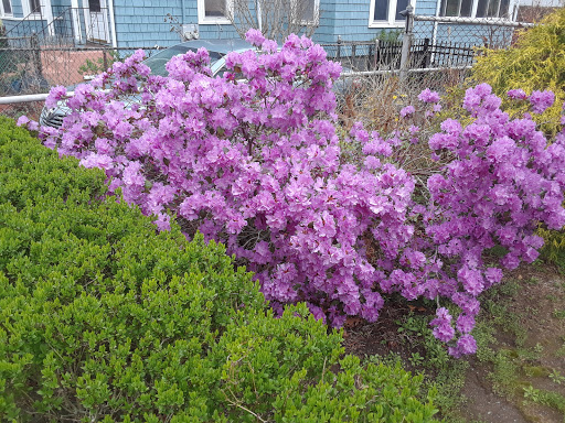 Park «Kennedy Park», reviews and photos, S Main St, Fall River, MA 02724, USA