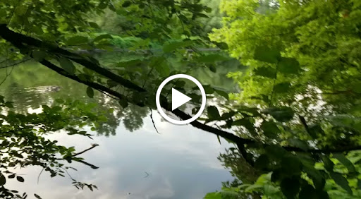 Golf Club «Leewood Golf Club», reviews and photos, 1 Leewood Dr, Eastchester, NY 10709, USA