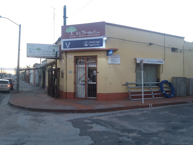Agraciada, 75100 Dolores, Departamento de Soriano, Uruguay