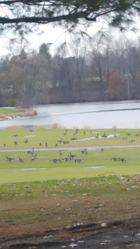 Golf Course «Firestone Country Club», reviews and photos, 452 East Warner Road, Akron, OH 44319, USA