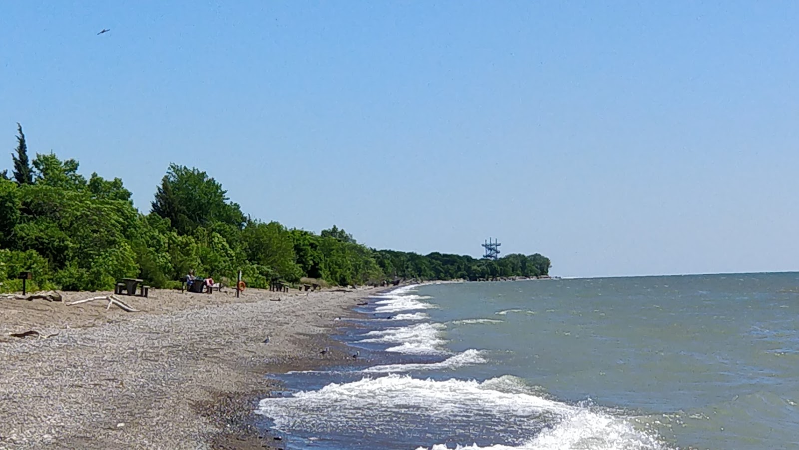 Fotografija Black Willow Beach divje območje