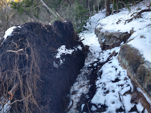 Nature Preserve «Stillhouse Hollow Nature Preserve», reviews and photos, 7810 Sterling Dr, Austin, TX 78759, USA