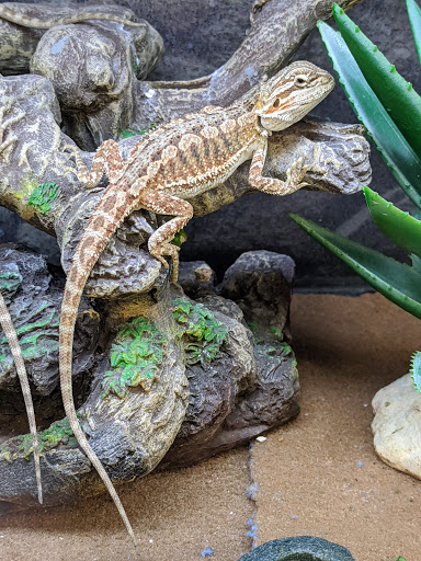 Pet Supply Store «Petco Animal Supplies», reviews and photos, 1220 Commons Cir, Plover, WI 54467, USA