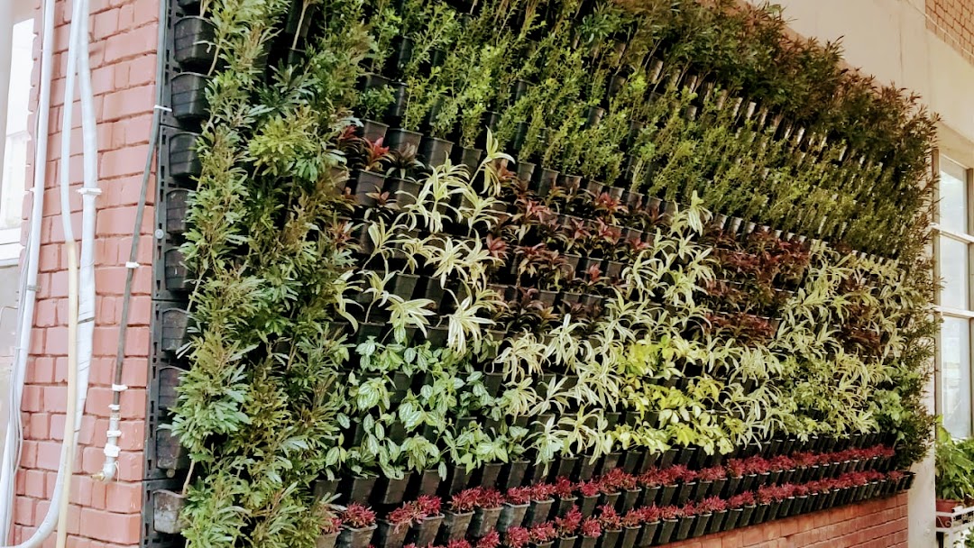 Gogreen Plants