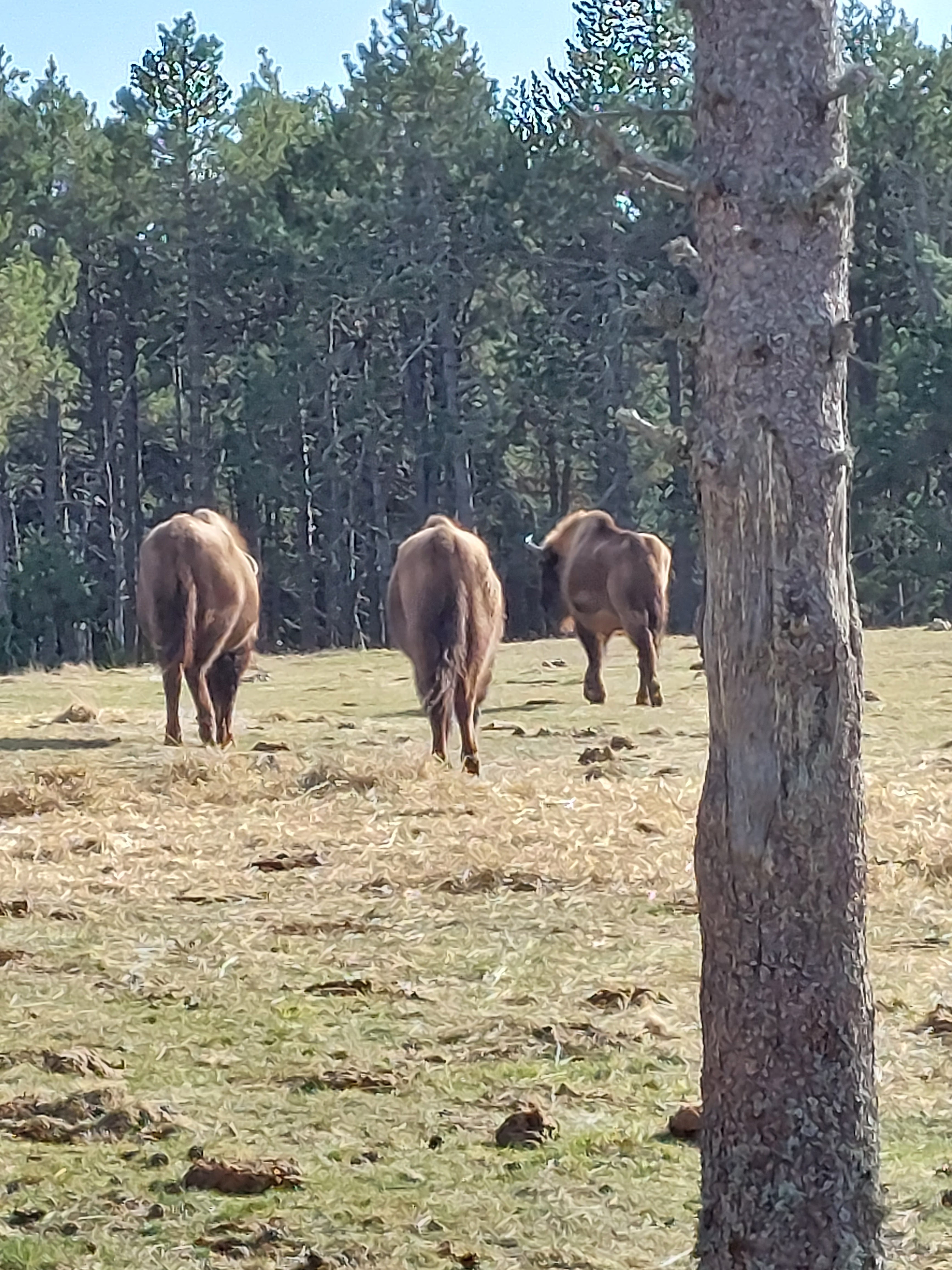 Photo n° 3 de l'avis de Marie-the.e fait le 27/03/2023 à 16:56