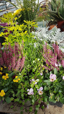 Gaec Hortival à Vaucouleurs