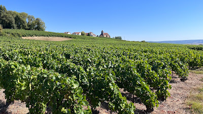 Parc naturel régional de la Montagne de Reims à Pourcy