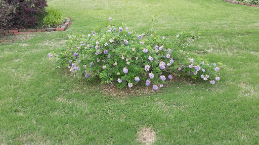 Public Golf Course «Fair Oaks Golf Club», reviews and photos, 220 Fairoaks Dr, Oakland, TN 38060, USA