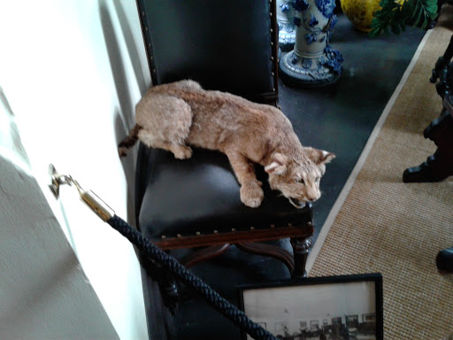 Museum «Henry B. Plant Museum», reviews and photos, 401 W Kennedy Blvd, Tampa, FL 33606, USA