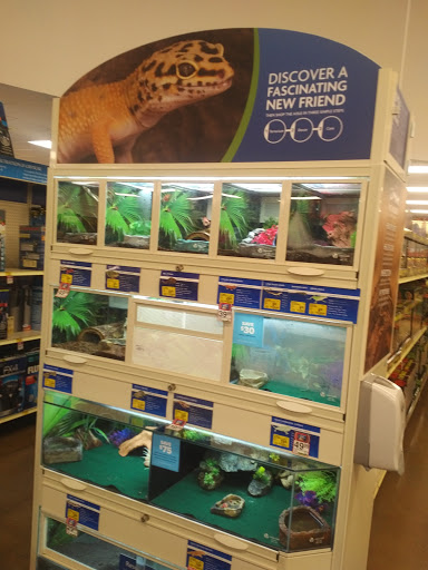 Pet Supply Store «PetSmart», reviews and photos, 160 Wadsworth Blvd, Lakewood, CO 80226, USA