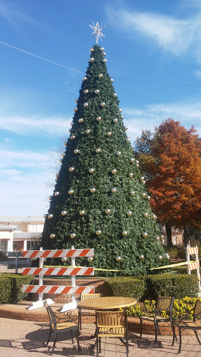 Community Center «Smyrna Community Center», reviews and photos, 200 Village Green Cir SE, Smyrna, GA 30080, USA