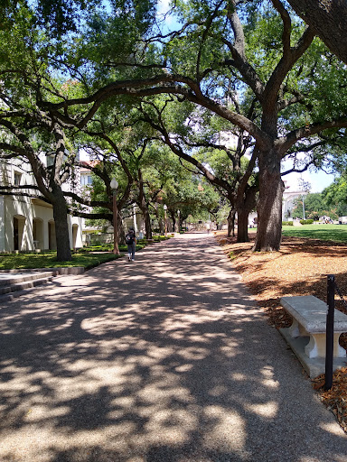 Bar & Grill «Casino El Camino», reviews and photos, 517 E 6th St, Austin, TX 78701, USA