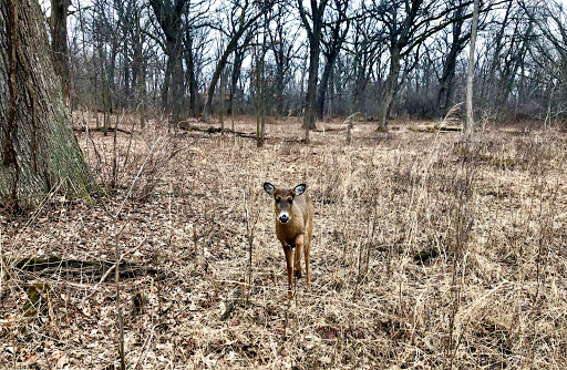 Nature Preserve «The Grove», reviews and photos, 1421 Milwaukee Ave, Glenview, IL 60025, USA