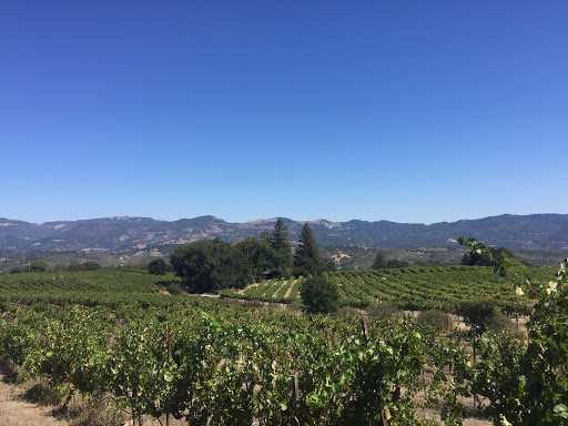 Winery «Laurel Glen Vineyard», reviews and photos, 969 Carquinez Ave, Glen Ellen, CA 95442, USA