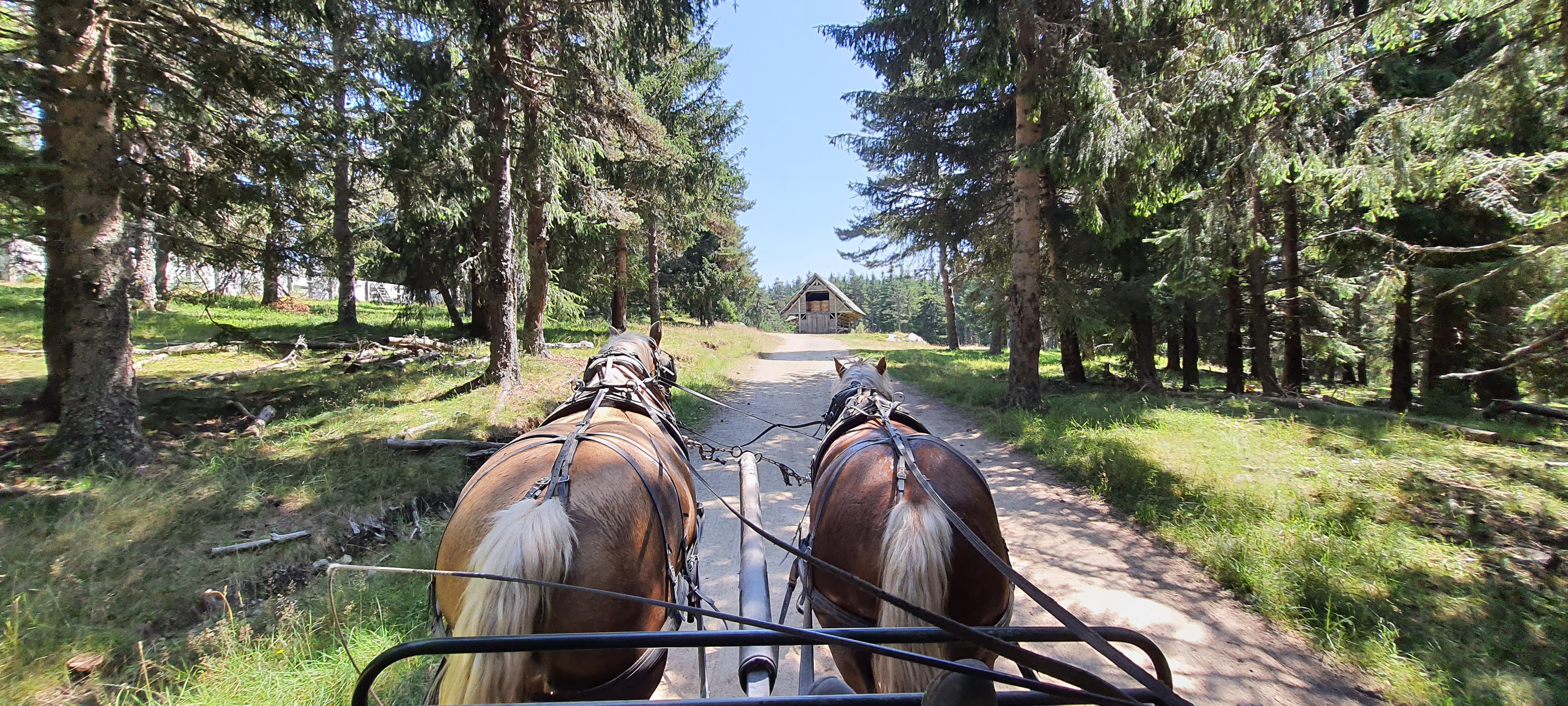 Photo n° 15 de l'avis de Benjamin.o fait le 22/08/2021 à 17:09