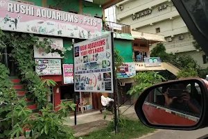 Rushi Aquarium And Pets image
