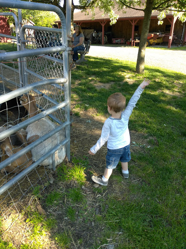 Farm «B & B Flower Farm», reviews and photos, 668 Jones Hill Rd, West Haven, CT 06516, USA