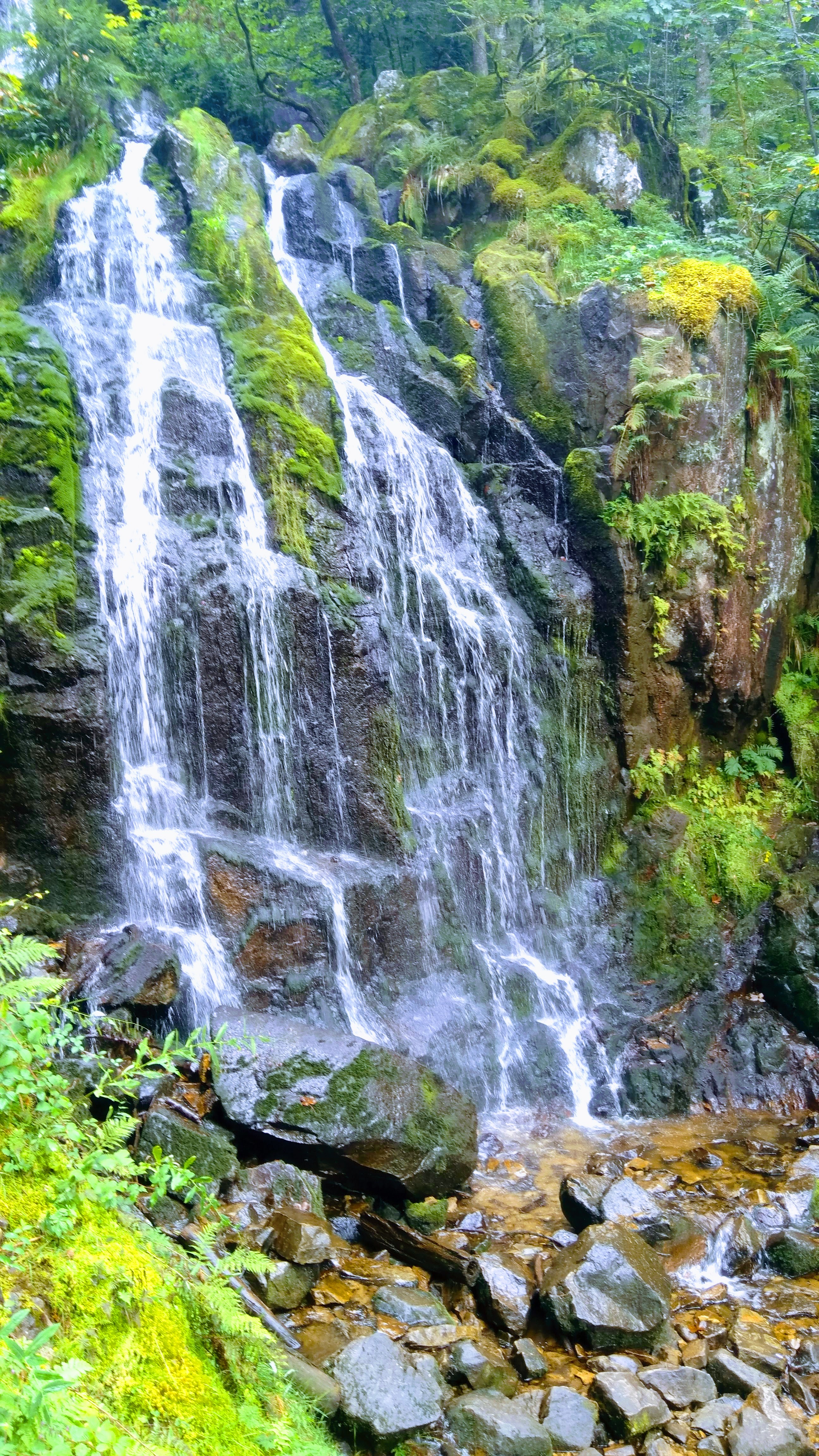 Photo n° 2 de l'avis de Stéphane.e fait le 26/07/2022 à 18:06