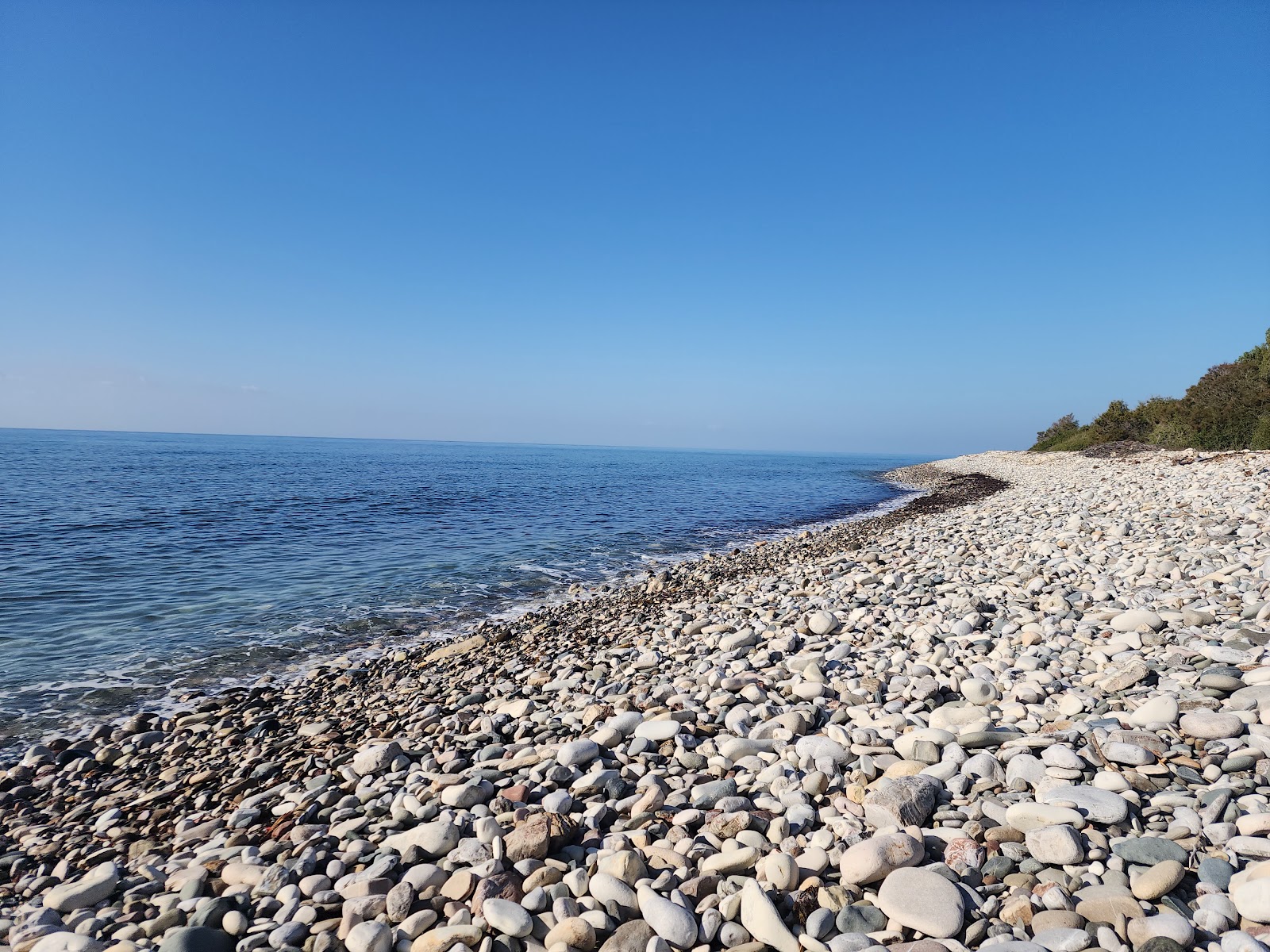 Photo de Ranti Forest Beach avec un niveau de propreté de très propre