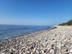 Photo de Ranti Forest Beach avec un niveau de propreté de très propre