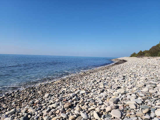 Ranti Forest Beach