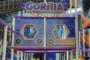 Gorilla Adventure Playground image