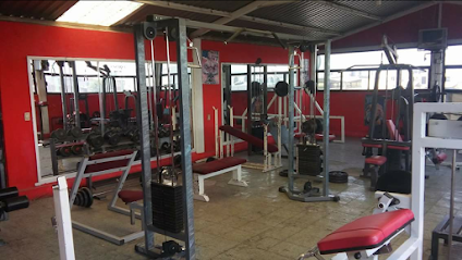 PROJECT GYM