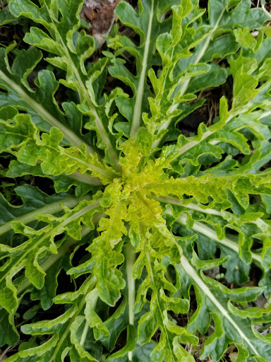 Nature Preserve «Foster Floodplain Natural Area», reviews and photos, 10602 SE Foster Rd, Portland, OR 97266, USA