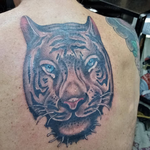 Comments and reviews of Thirteen Tattoo and Piercing