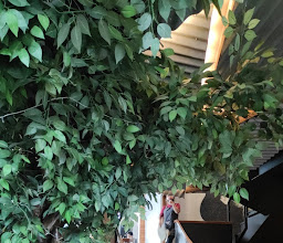 Liep's Cafe photo