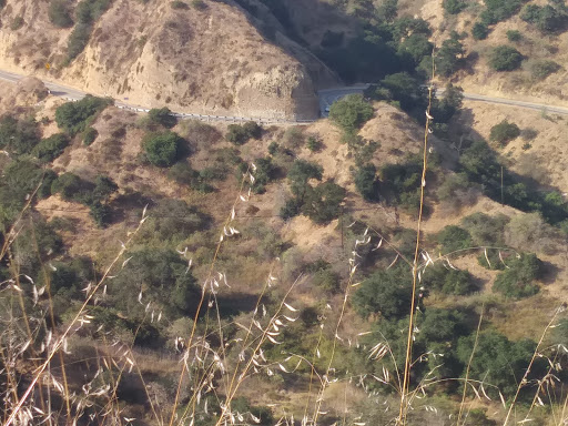 Hacienda Hills Trailhead image