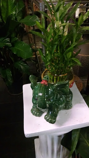 Florist «Hollywood Florist», reviews and photos, 1700 Stuyvesant Ave, Union, NJ 07083, USA