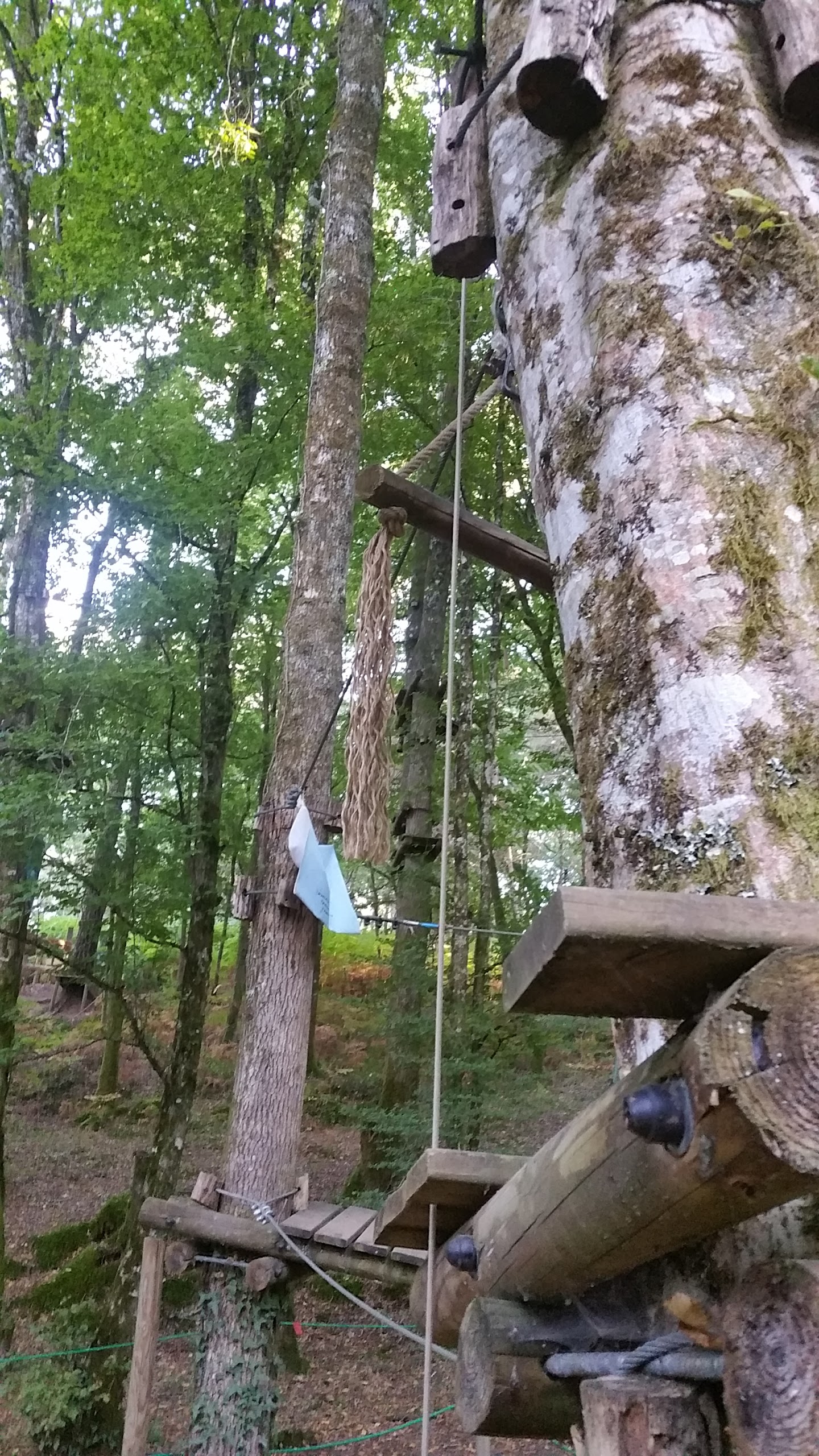 Photo n° 2 de l'avis de Guillaume.o fait le 08/08/2017 à 17:43