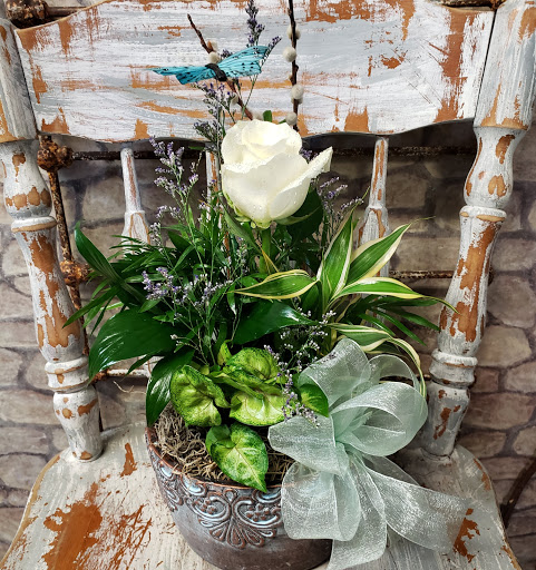 Florist «Carrolls Florist of Beverly», reviews and photos, 385 Cabot St, Beverly, MA 01915, USA