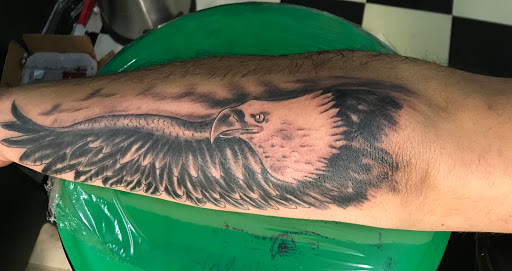 Explore seattle seahawks tattoo ideas, creative tattoo ideas in Hamilton, available at Glass Ink Tattoo