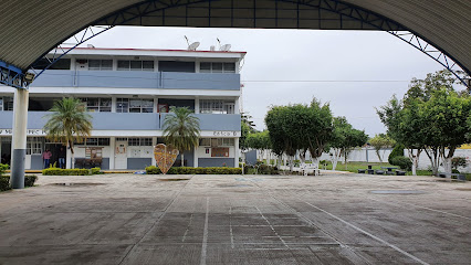 Colegio De Bachilleres Del Estado De Veracruz