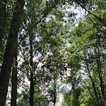 Photo n° 5 de l'avis de thomas.o fait le 06/06/2021 à 13:52 pour Malowe Nature - Ferme pédagogique à Rosay