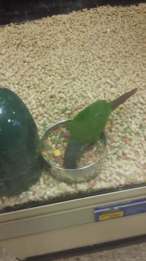 Pet Supply Store «PetSmart», reviews and photos, 9887 76th St, Pleasant Prairie, WI 53158, USA