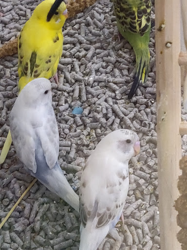 Pet Supply Store «Petco Animal Supplies», reviews and photos, 1 US-46, Totowa, NJ 07512, USA