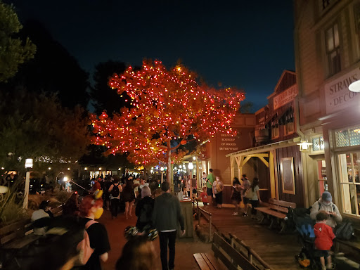 Travel Agency «Pixie Vacations», reviews and photos, 149 Misty Valley Dr, Canton, GA 30114, USA