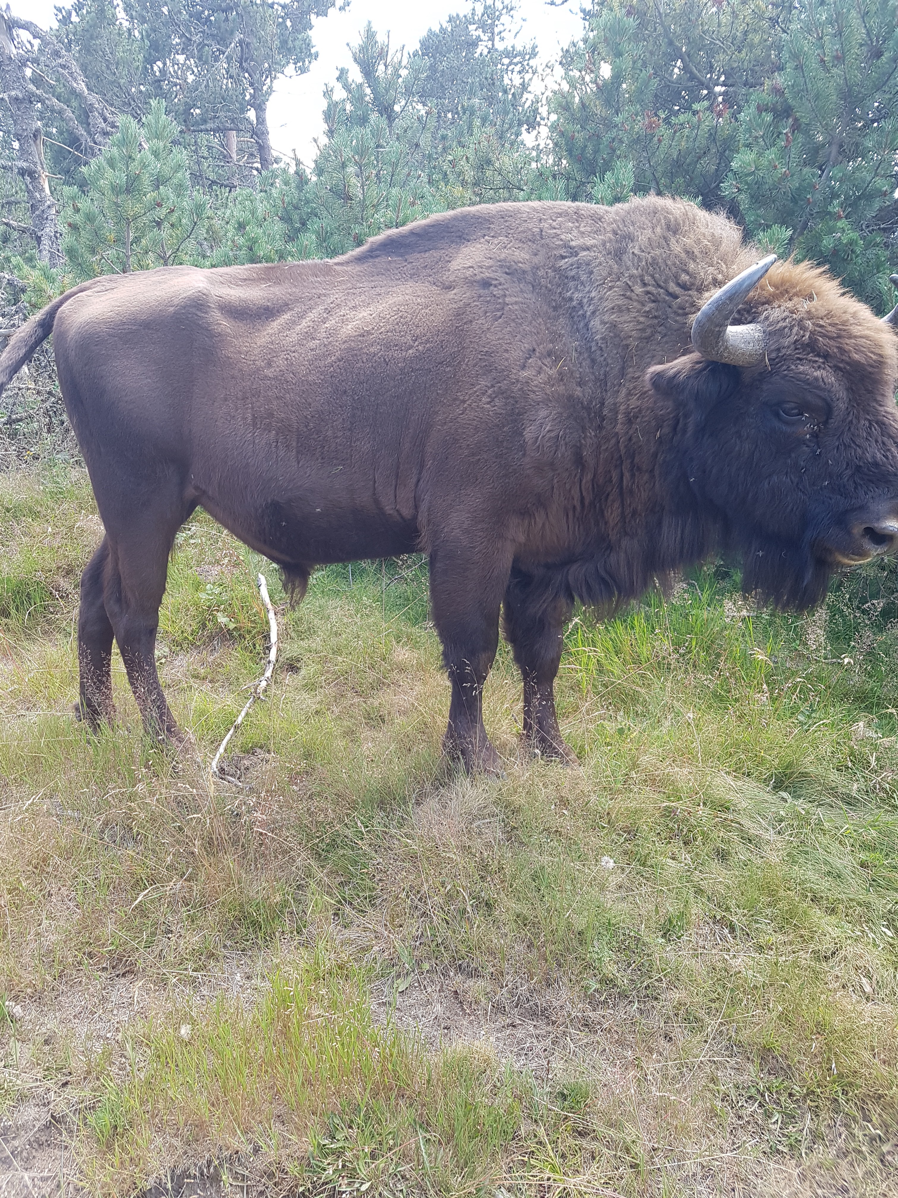 Photo n° 15 de l'avis de Mick.u fait le 26/07/2018 à 19:41