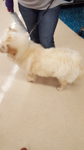 Pet Supply Store «Petco Animal Supplies», reviews and photos, 3055 Columbia Blvd #117, Titusville, FL 32780, USA