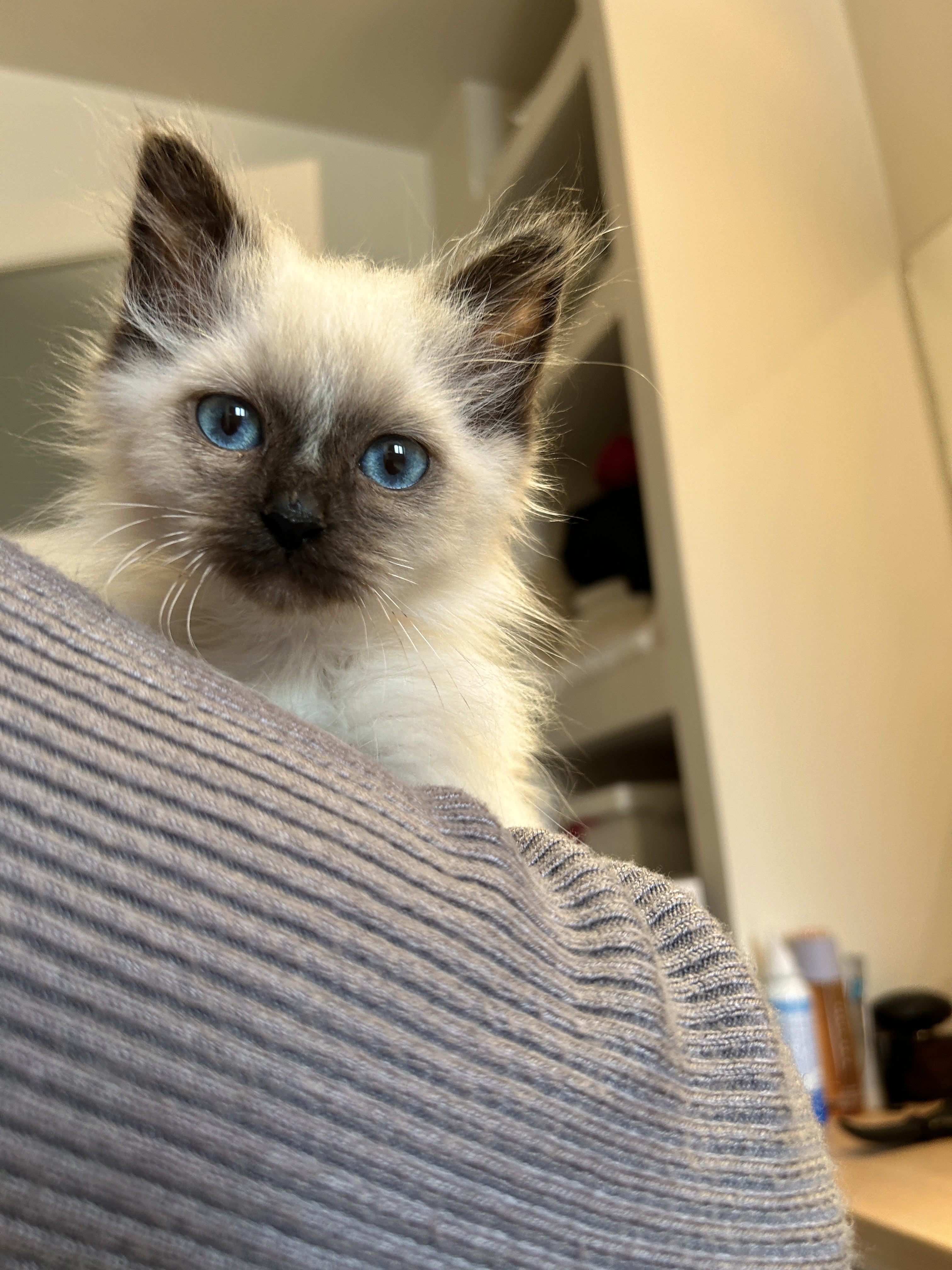 Photo n° 2 de l'avis de Henrik.a fait le 23/03/2024 à 09:54
