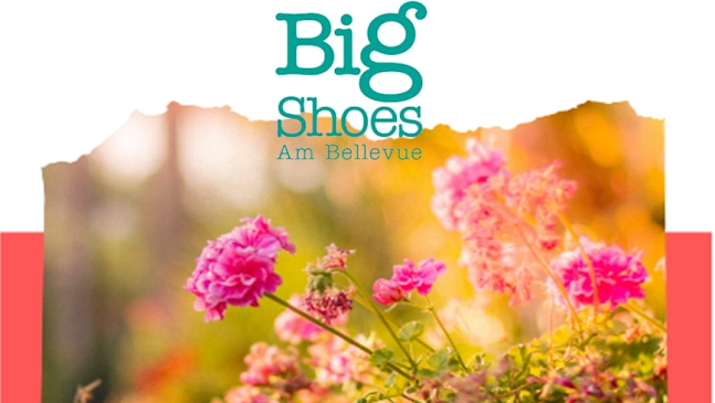 Big Shoes GmbH - Zürich