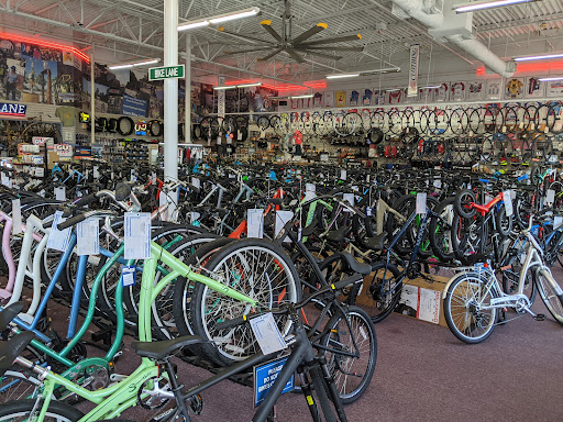 Bicycle Store «Bike Lane», reviews and photos, 17937 I-45, Shenandoah, TX 77385, USA