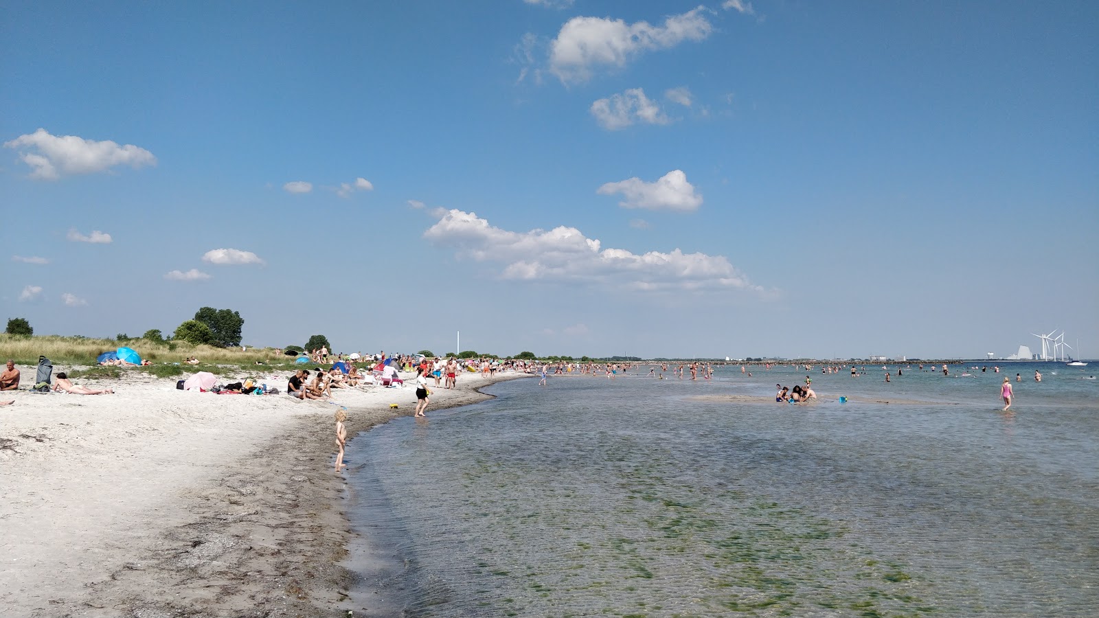 Zdjęcie Ishoj Beach z proste i długie