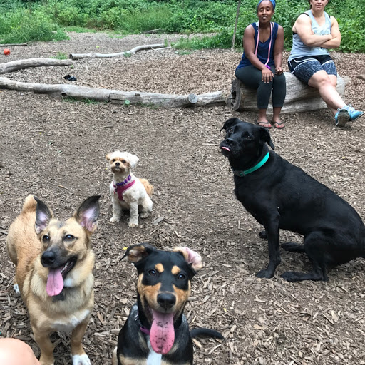 Dog Park «Waterman St. Dog Park», reviews and photos, 320 Waterman St, Providence, RI 02906, USA