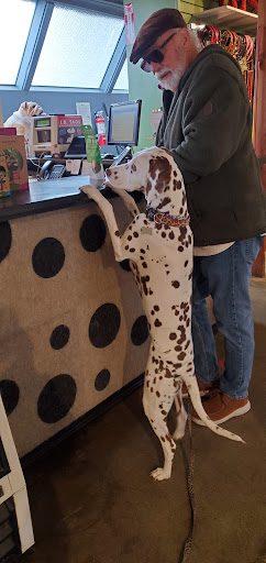 Pet Supply Store «Muttropolis Solana Beach», reviews and photos, 227 S Cedros Ave, Solana Beach, CA 92075, USA