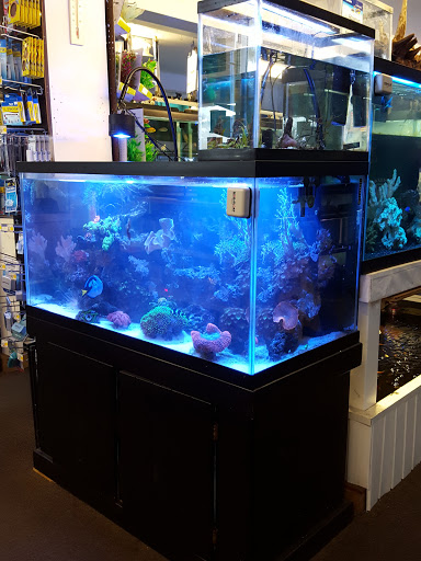 Tropical Fish Store «Aquarium World», reviews and photos, 1512 Meetinghouse Rd, Upper Chichester, PA 19061, USA