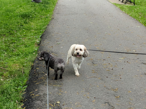 Park «Grover Cleveland Park», reviews and photos, Brookside Ave & Runnymede Rd, Essex Fells, NJ 07021, USA